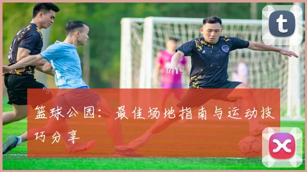 篮球公园：最佳场地指南与运动技巧分享